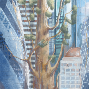 大战尼姑美国版
