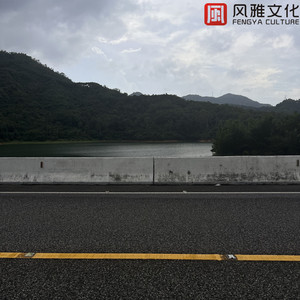 大战尼姑美国版
